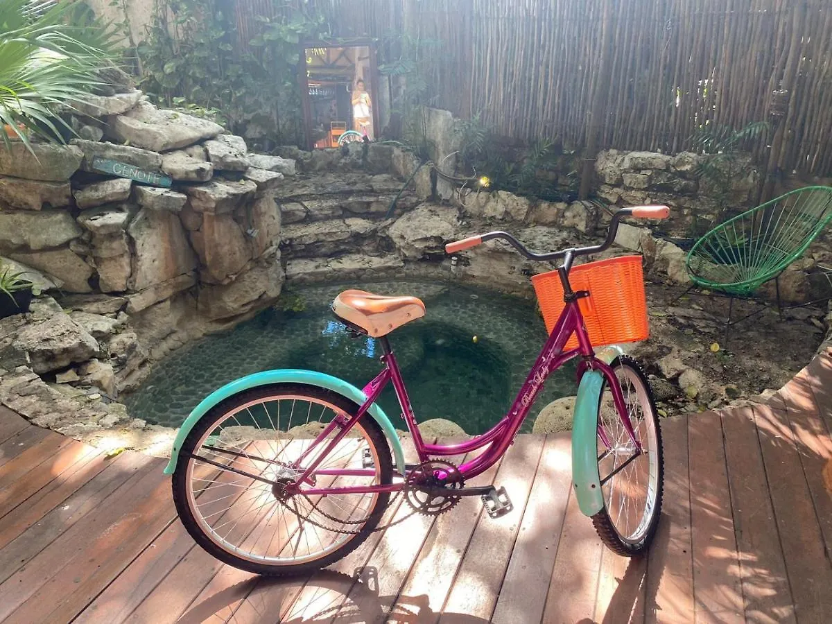 Trebol Hotel 5Th Avenue Playa del Carmen