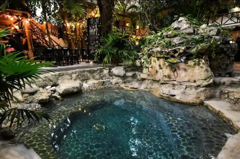 Trebol Hotel 5Th Avenue Playa del Carmen